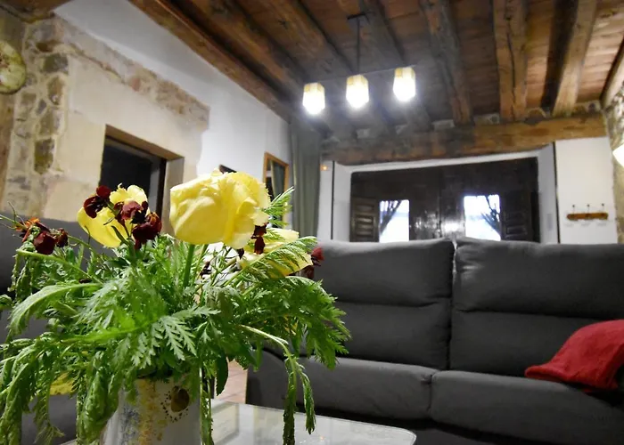 El Ultimo Carretero Molinos de Duero